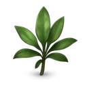 Avantoe