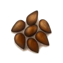 Avantoe Seeds