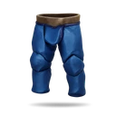 Blue D-hide Chaps