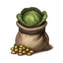 Cabbage Seeds (100)