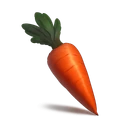 Carrot