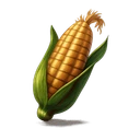 Corn