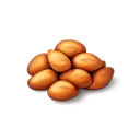 Corn Seeds