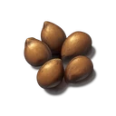 Harralander Seeds