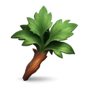 Kwuarm