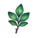 Magic Herb