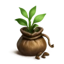 Magic Herb Seeds