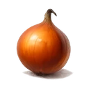 Onion