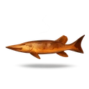 Pike