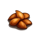 Pumpkin Seeds