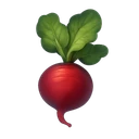 Radish