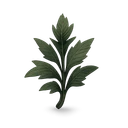 Ranarr Weed