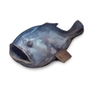 Raw Monfish