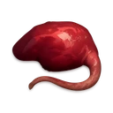 Raw Rat Meat