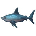 Raw Shark