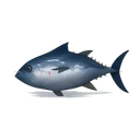 Raw Tuna
