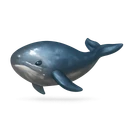 Raw Whale