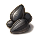 Sunflower Seeds