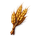 Wheat