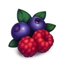 Wild Berries