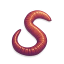 Worm