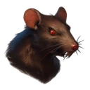 Giant Rat