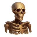 Skeleton